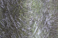 Dunstall Hill fibreglass roof work